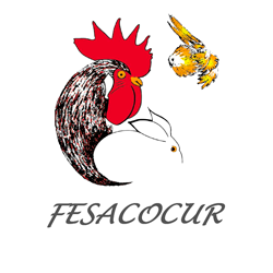 Fesacocur