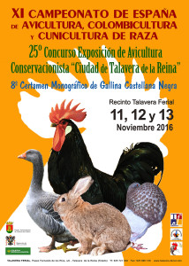 Cartel Talavera de la Reina 2016