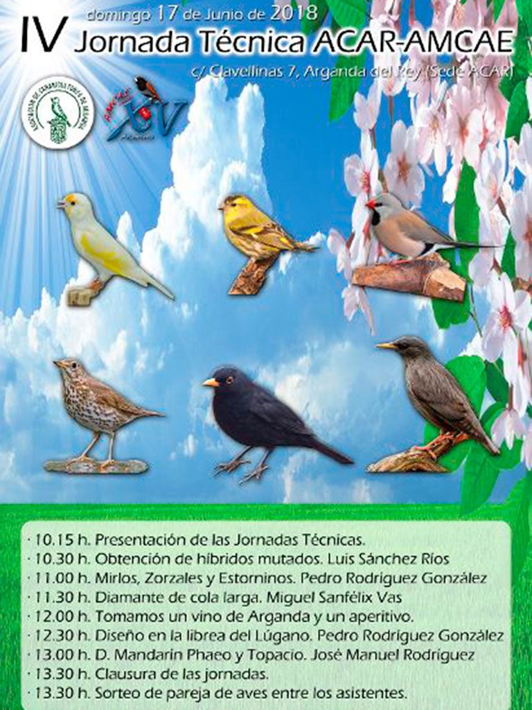 IV Jornada Técnica ACAR-AMCAE