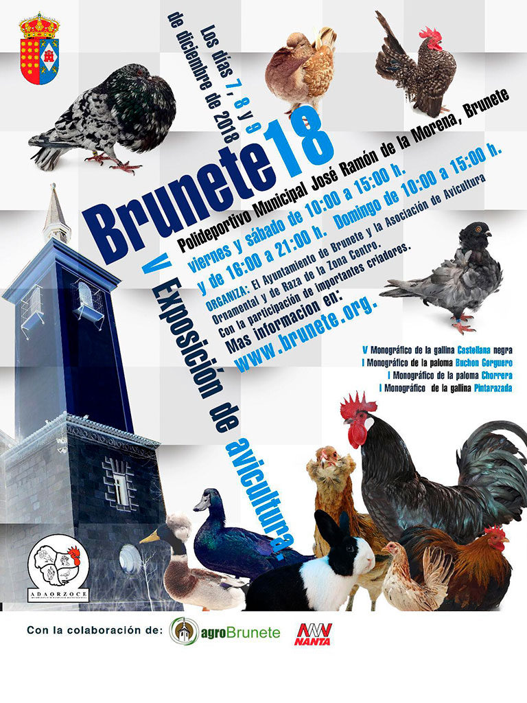 brunete-2018