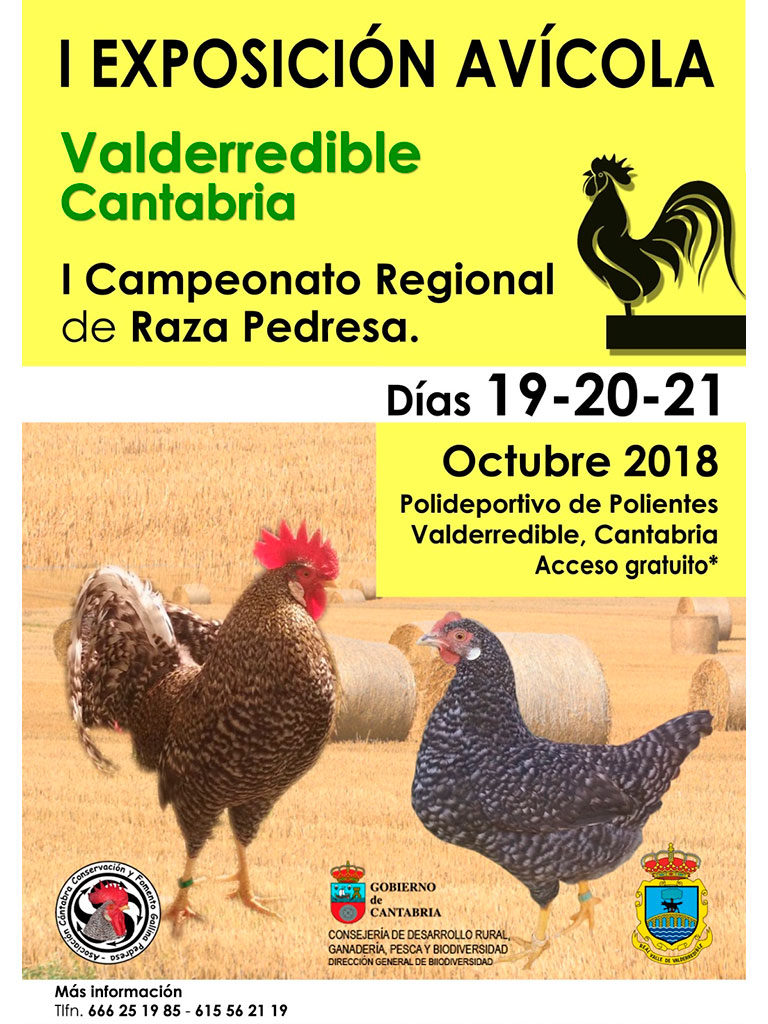 exposicion-avicola-valderredible-cantabria