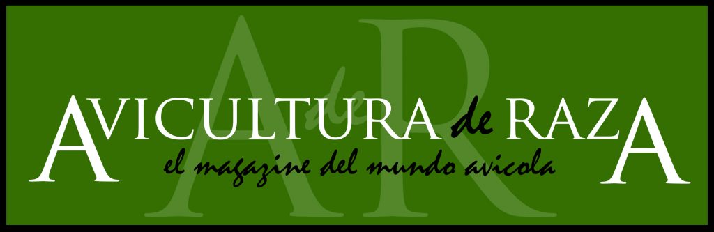 Avicultura de Raza