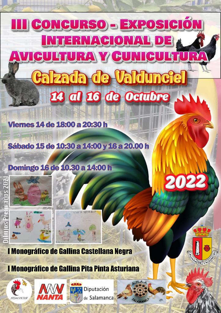 III Concurso Calzada de Valdunciel 2022