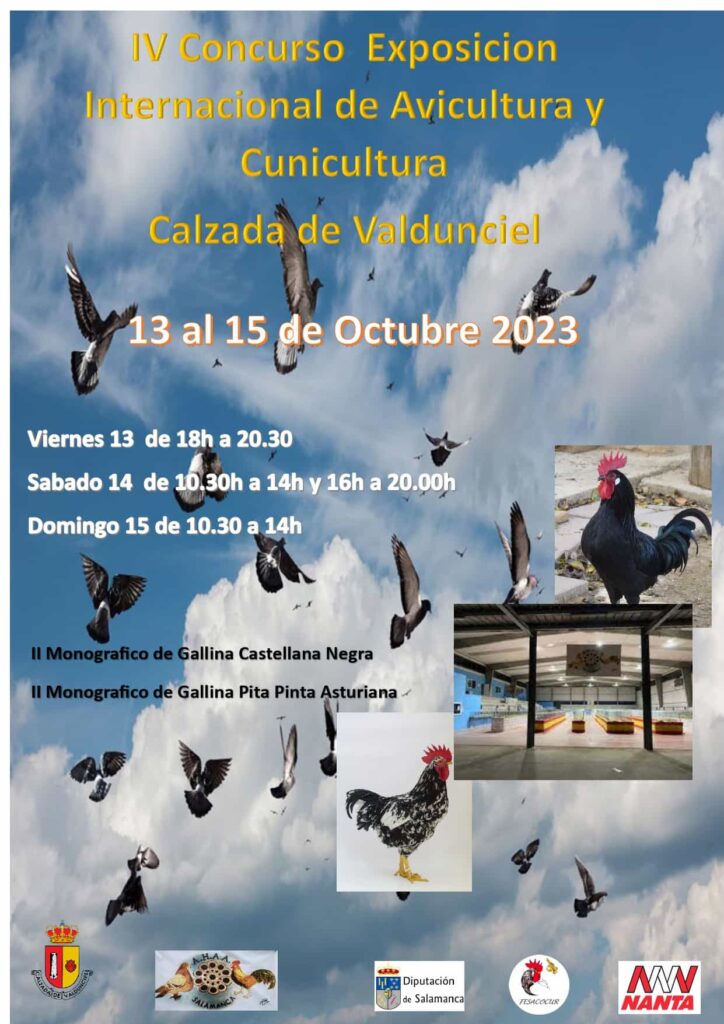 Calzada de Valdunciel 2023